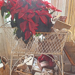 Poinsettias and Gifts at Federal House Inn